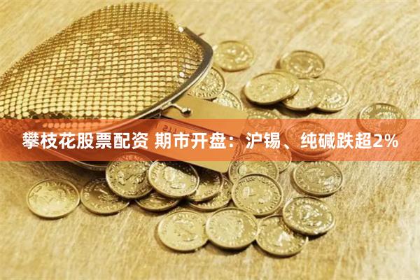 攀枝花股票配资 期市开盘：沪锡、纯碱跌超2%