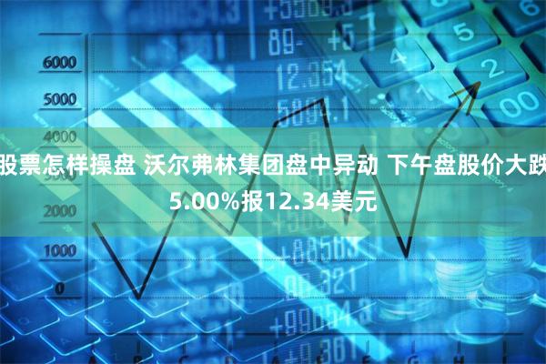 股票怎样操盘 沃尔弗林集团盘中异动 下午盘股价大跌5.00%报12.34美元