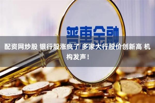 配资网炒股 银行股涨疯了 多家大行股价创新高 机构发声！