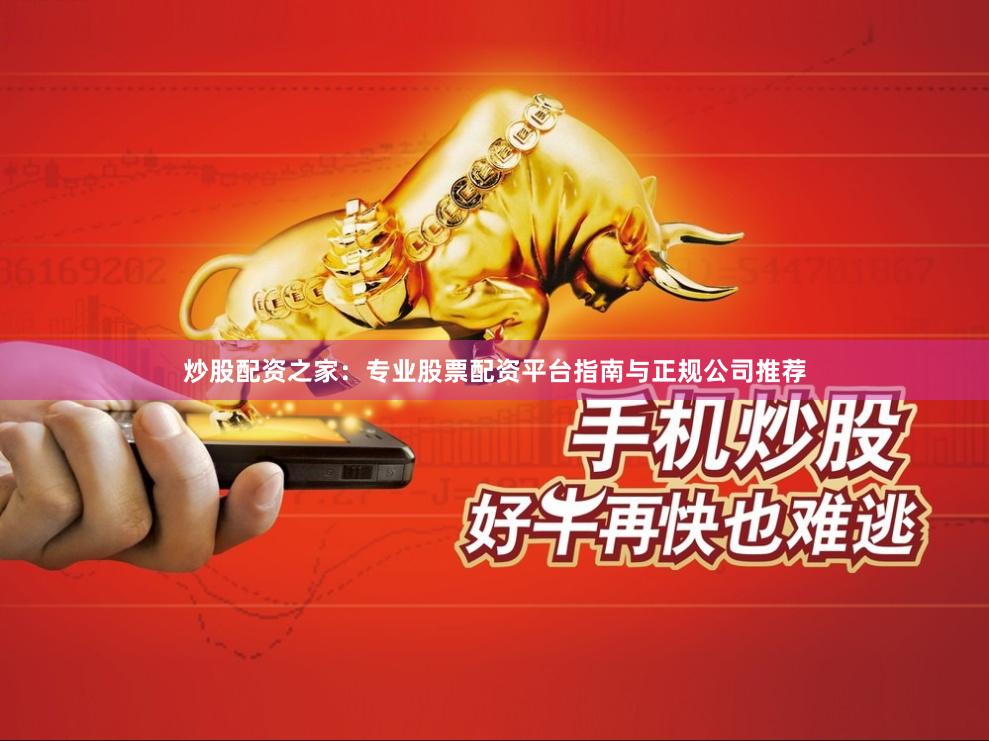 炒股配资之家：专业股票配资平台指南与正规公司推荐