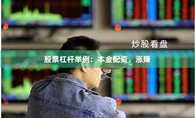 股票杠杆举例：本金配资，涨赚